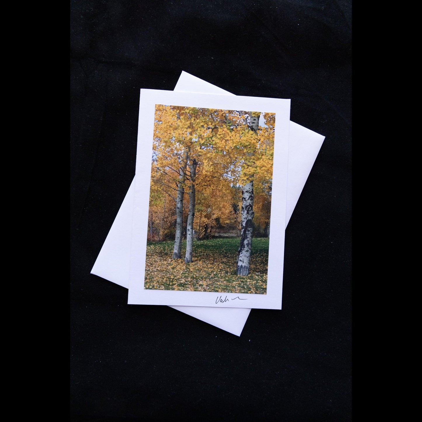 Arroyo Seco Fall Aspens Notecard - V. Isenhower Photography