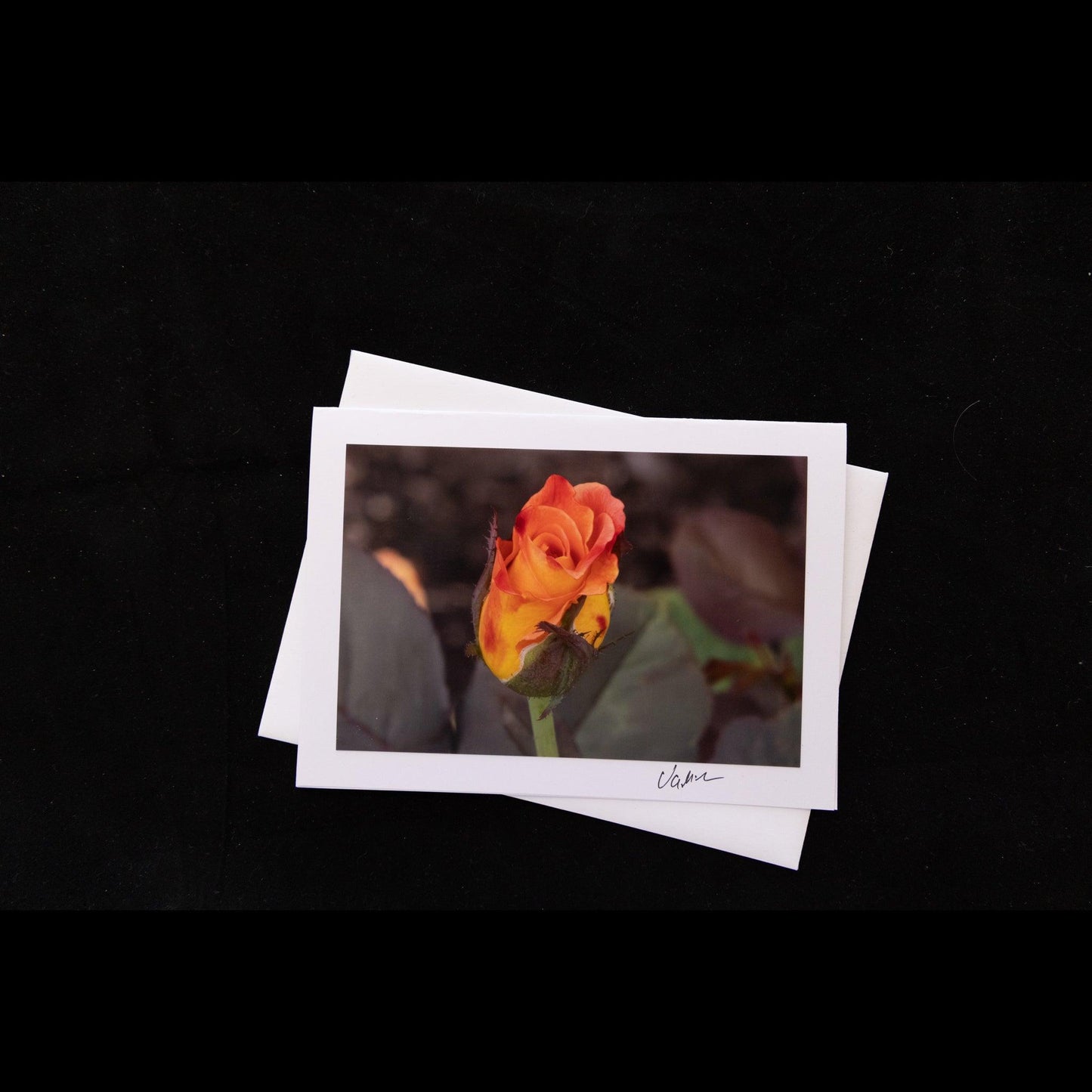 Orange and Yellow Rose Bud Photo Notecard