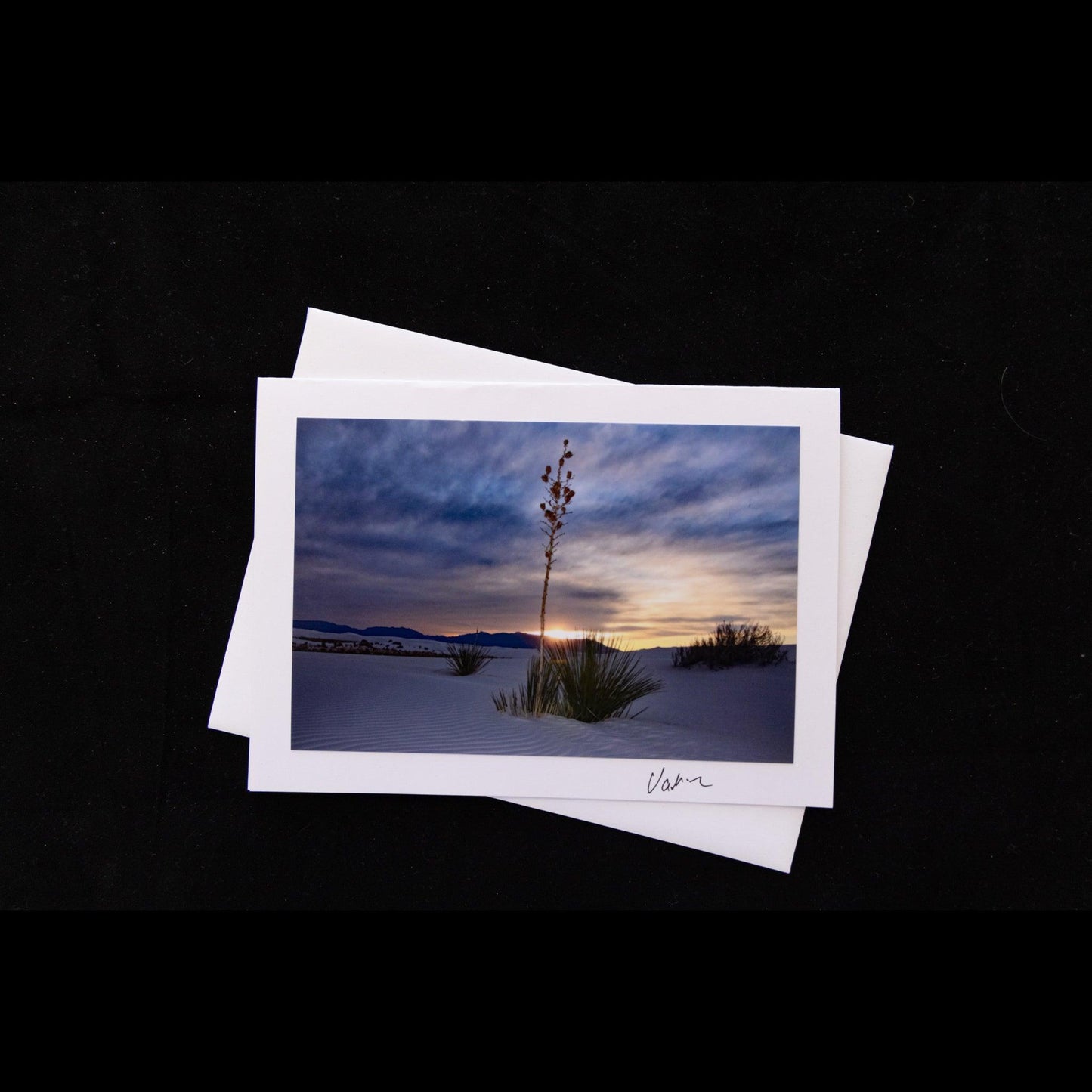 Photo Notecard of a yucca in White Sands National Park at sunset