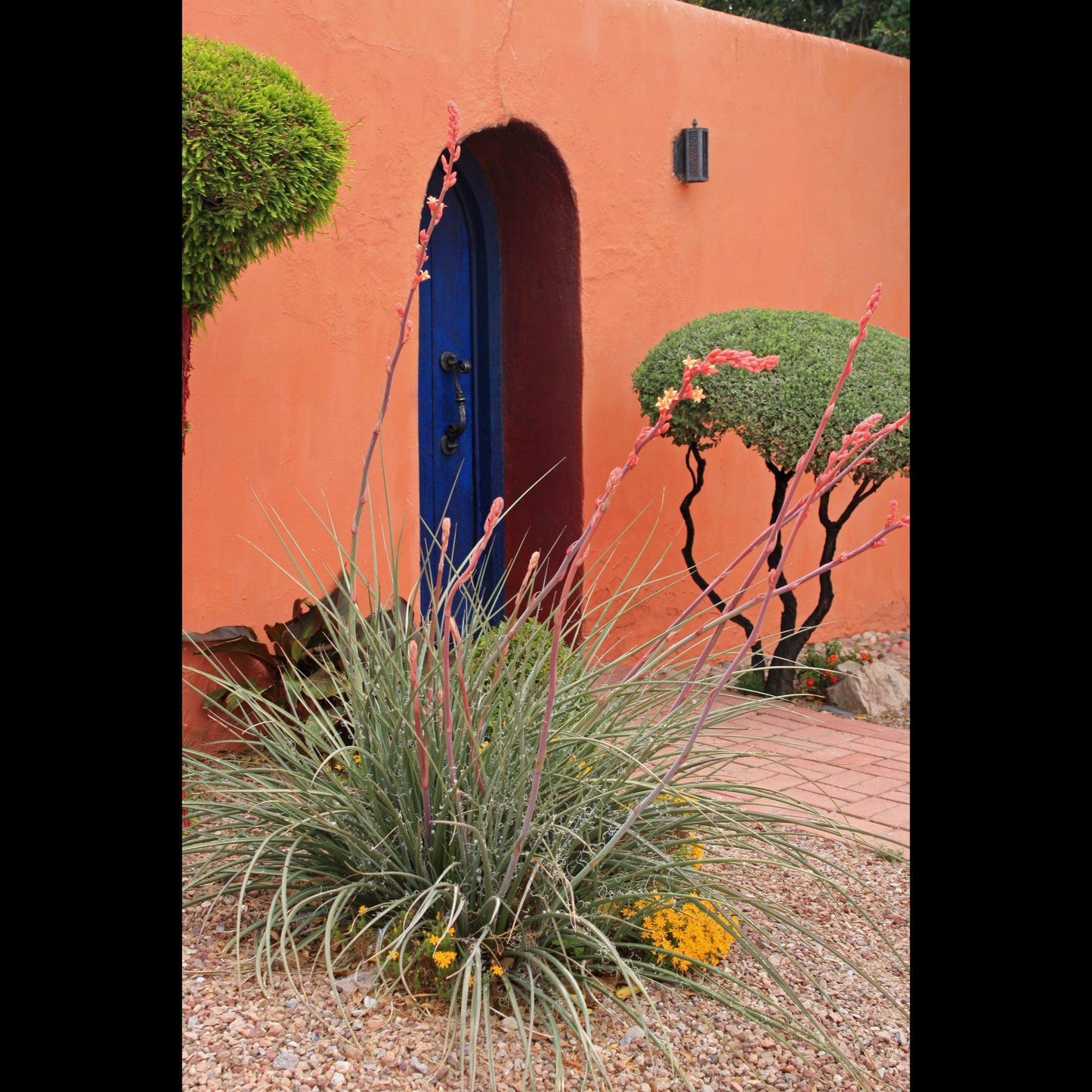 mesilla-orange-wall-v-isenhower-photography - V. Isenhower Photography