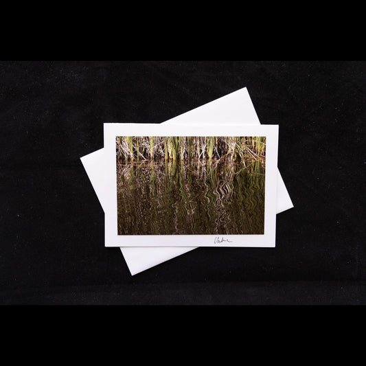 Photo Notecard reeds reflected in water
