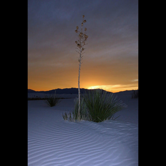 dusk-at-white-sands-national-park-v-isenhower-photography - V. Isenhower Photography