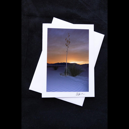 White Sands Yucca at Dusk notecard