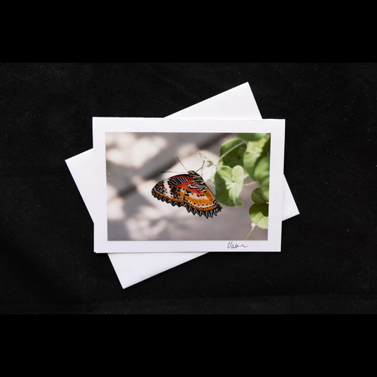 Photo Notecard Leopard Lacewing