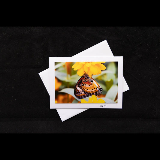 Photo Notecard Leopard Lacewing