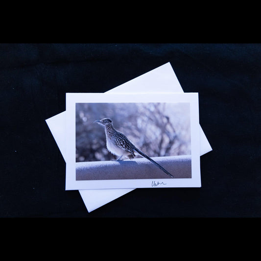 Perched Roadrunner Notecard