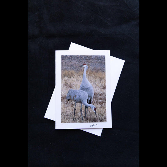 Photo Notecard of a Crane Duo