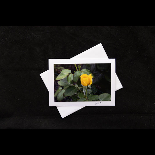 Yellow Rose Bud Photo Notecard