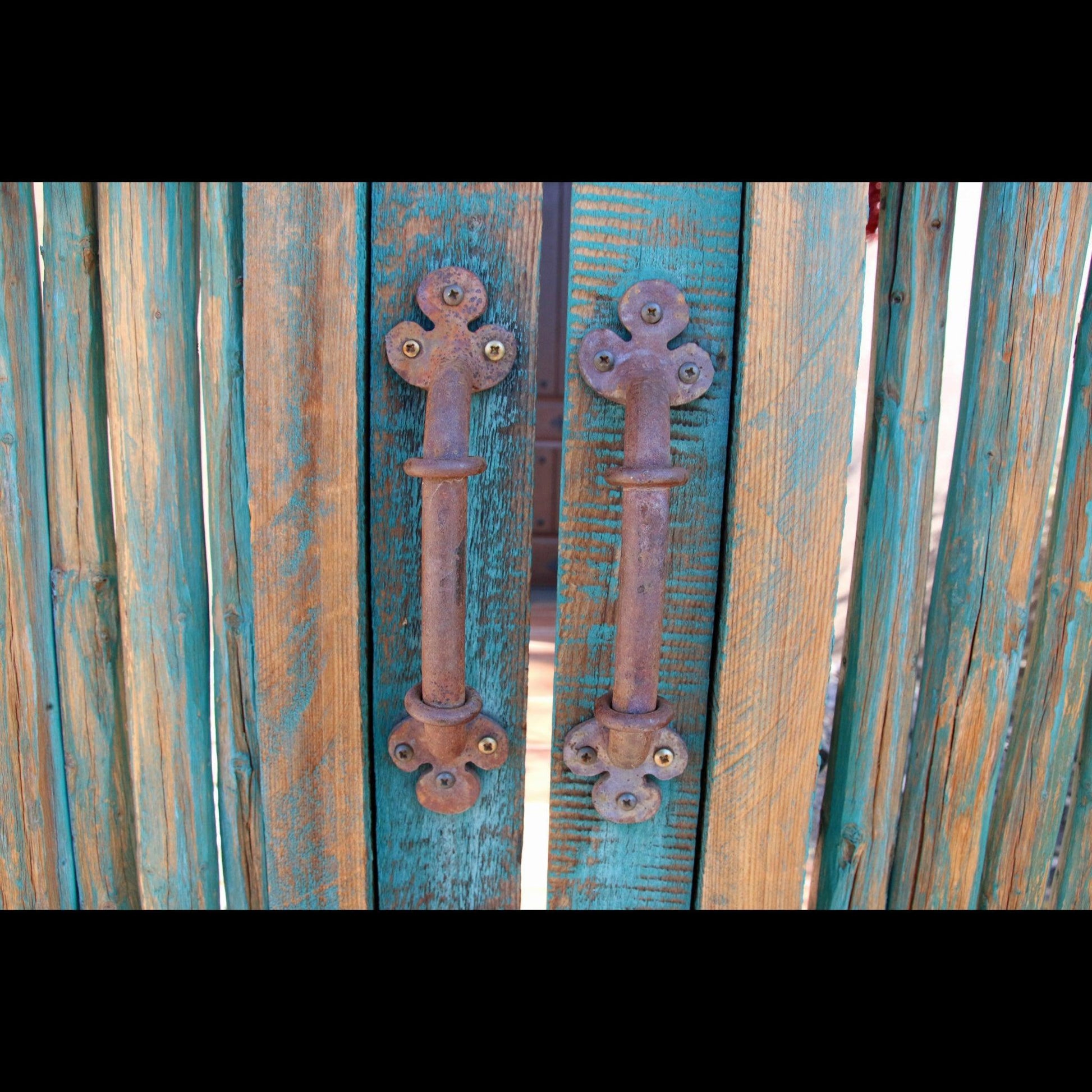 faded-green-door-with-old-handles-v-isenhower-photography - V. Isenhower Photography