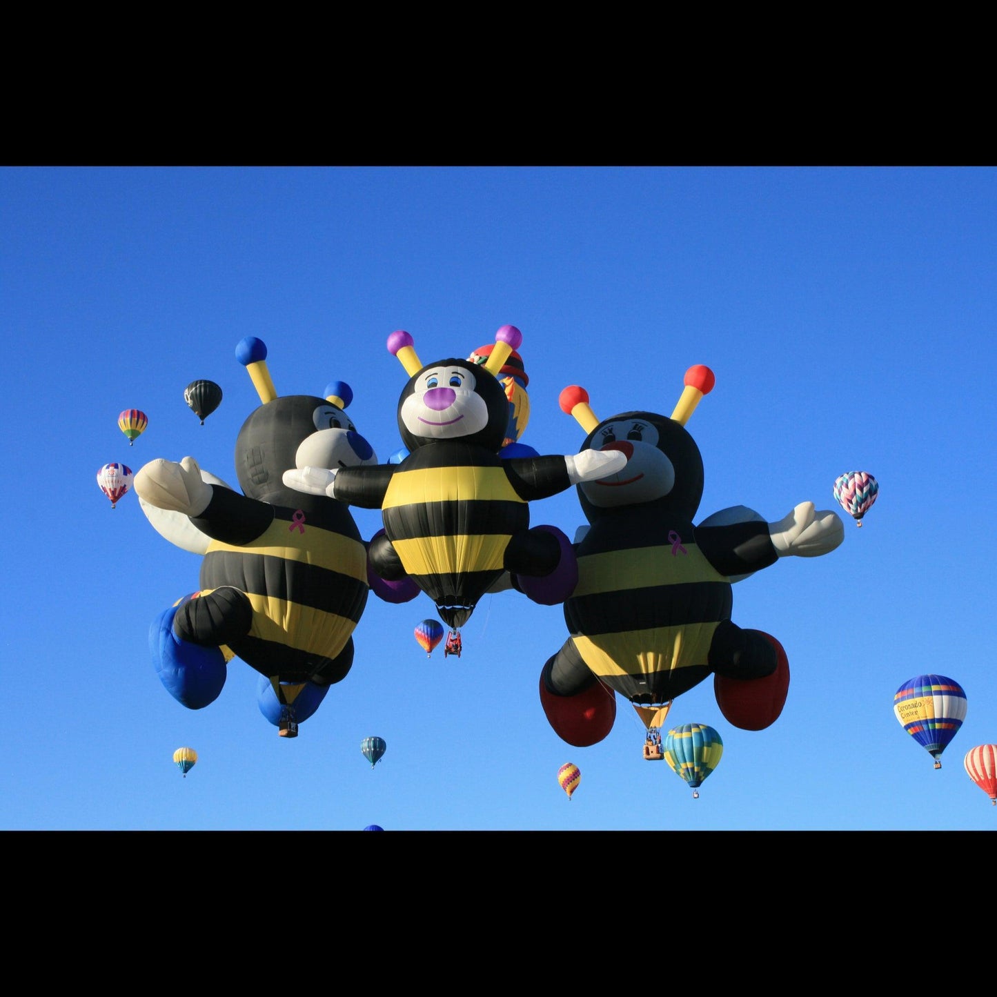hot-air-balloon-bee-family-v-isenhower-photography - V. Isenhower Photography