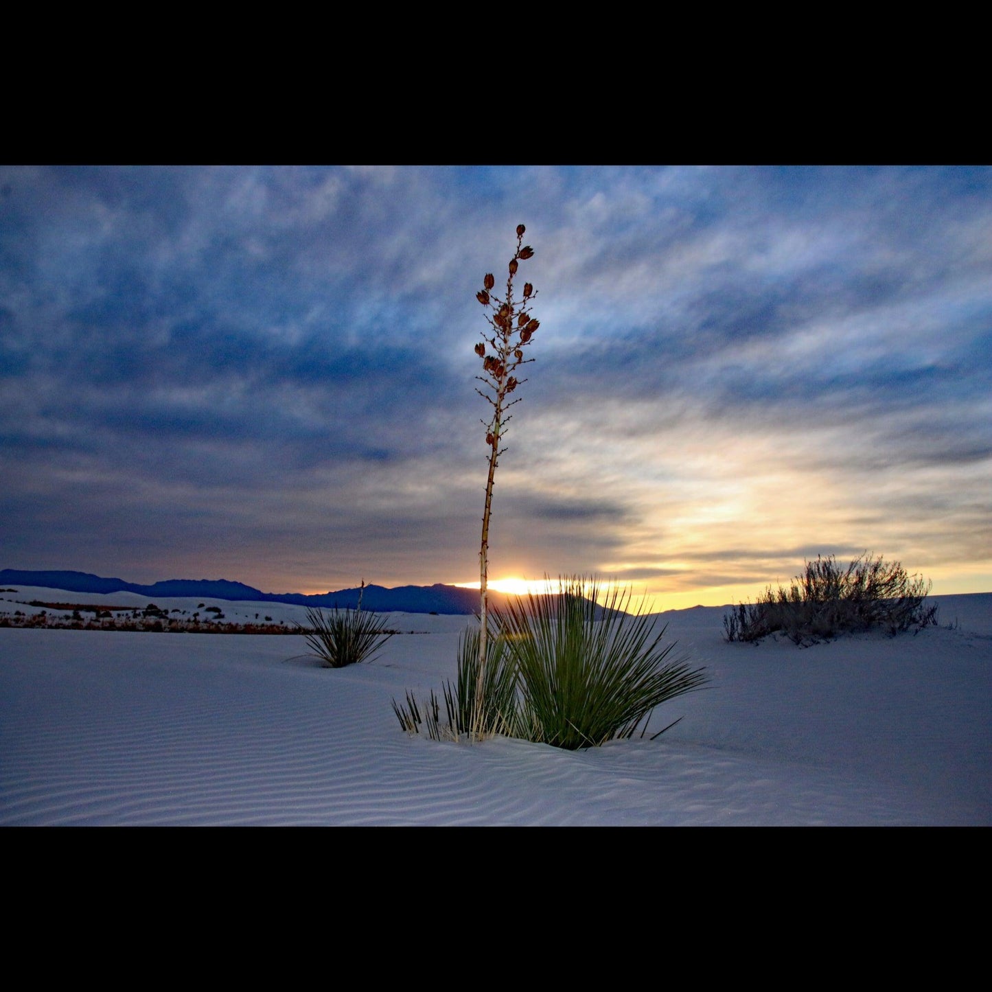 white-sands-at-sunset-v-isenhower-photography - V. Isenhower Photography